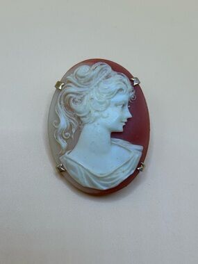 Classic White Cameo Shell Brooch on Coral Background